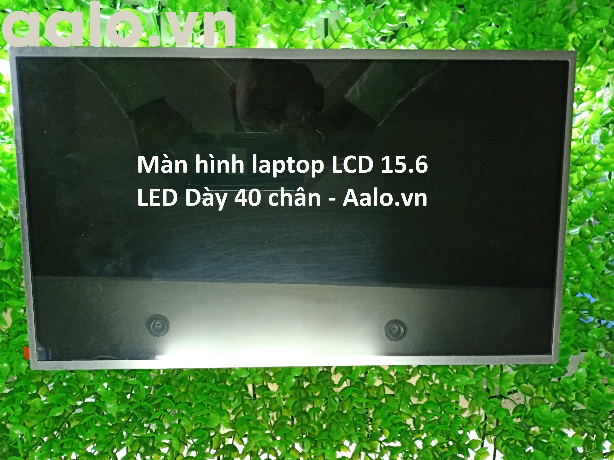 Màn hình Laptop HP Pavilion DV6-6000